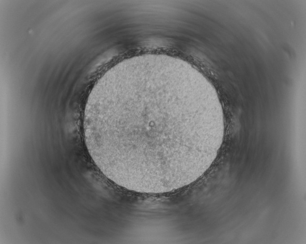 X0000114430824200911061641