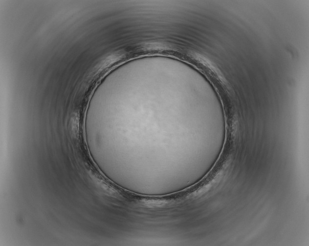 X0000114430825200911061641