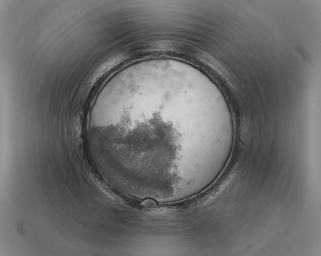 X0000114430826200911061641