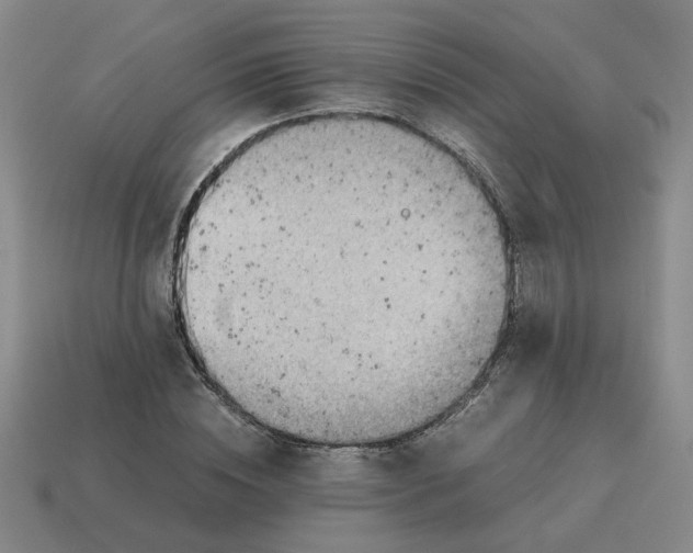 X0000114430828200911061641