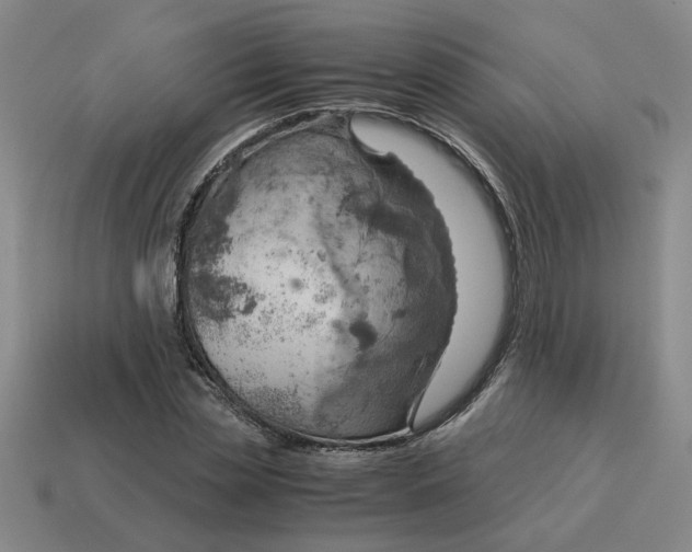 X0000114430829200911061641