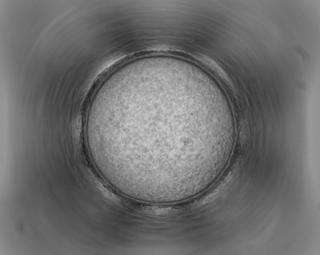 X0000114430831200911061641