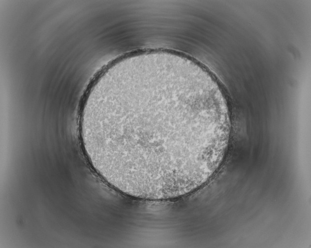 X0000114430832200911061641
