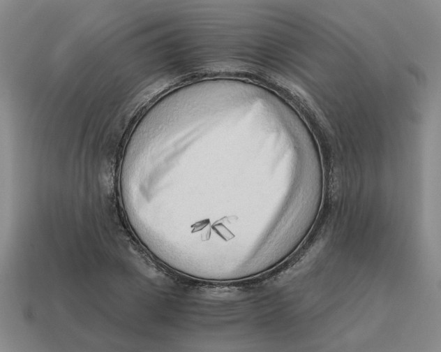 X0000114430833200911061641