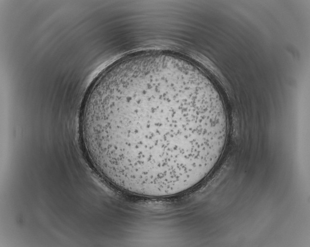 X0000114430834200911061641