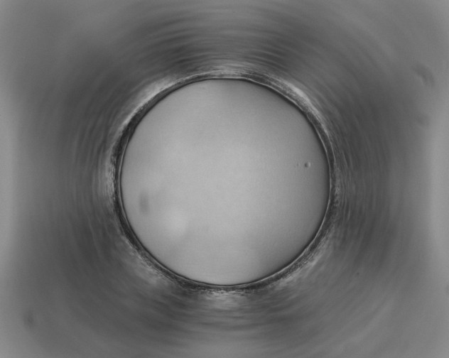 X0000114430835200911061641