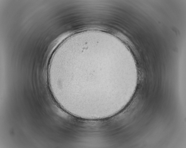 X0000114430836200911061641
