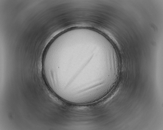 X0000114430837200911061641
