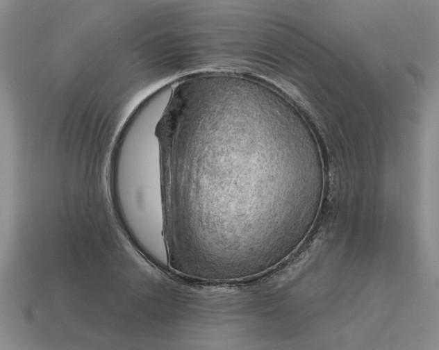 X0000114430838200911061641