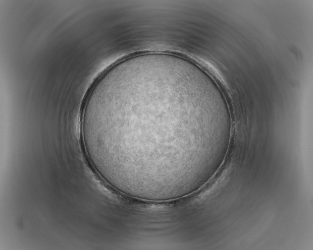 X0000114430839200911061641