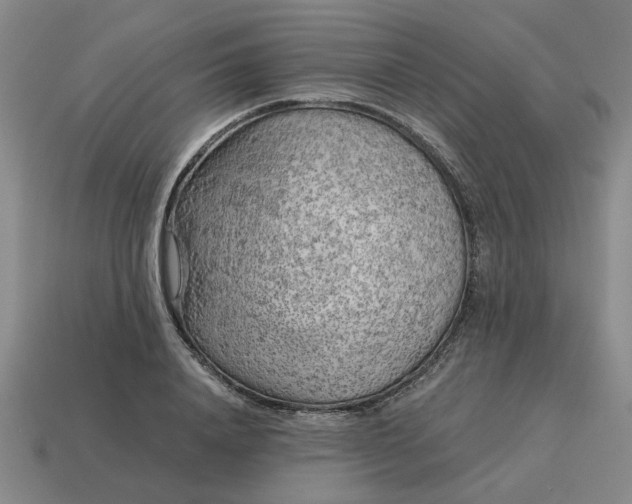 X0000114430840200911061641