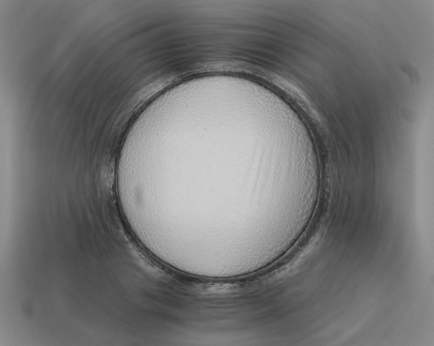 X0000114430841200911061641