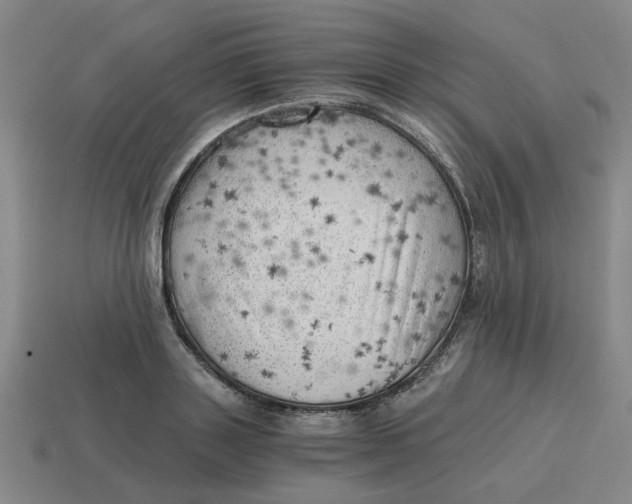 X0000114430843200911061641