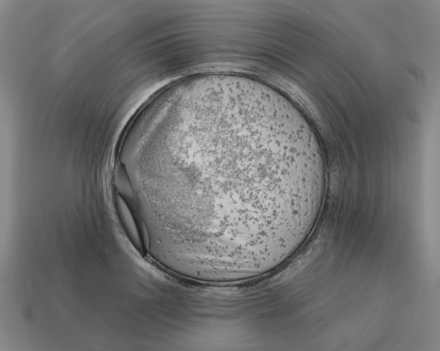 X0000114430844200911061641