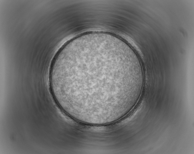 X0000114430845200911061641