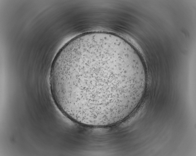 X0000114430847200911061641
