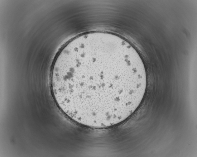 X0000114430848200911061641