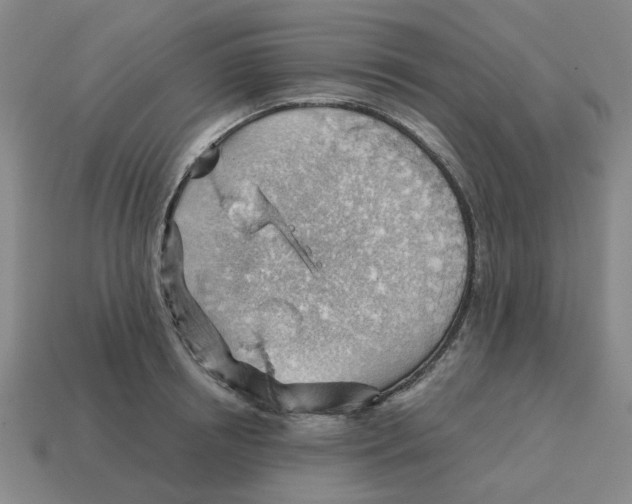 X0000114430850200911061641