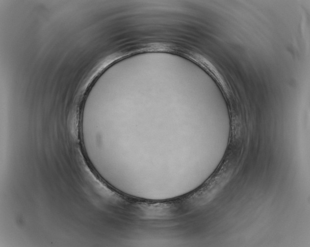 X0000114430851200911061641