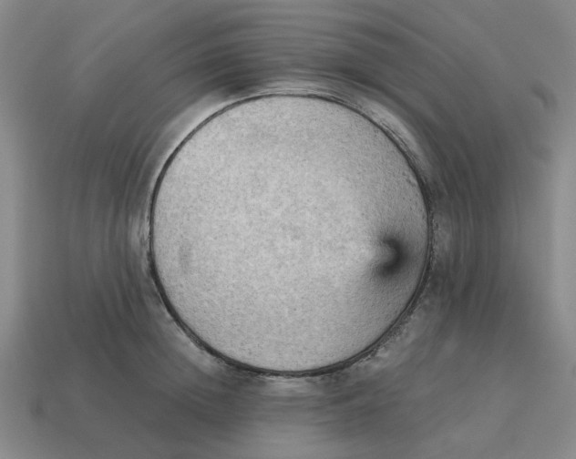 X0000114430852200911061641