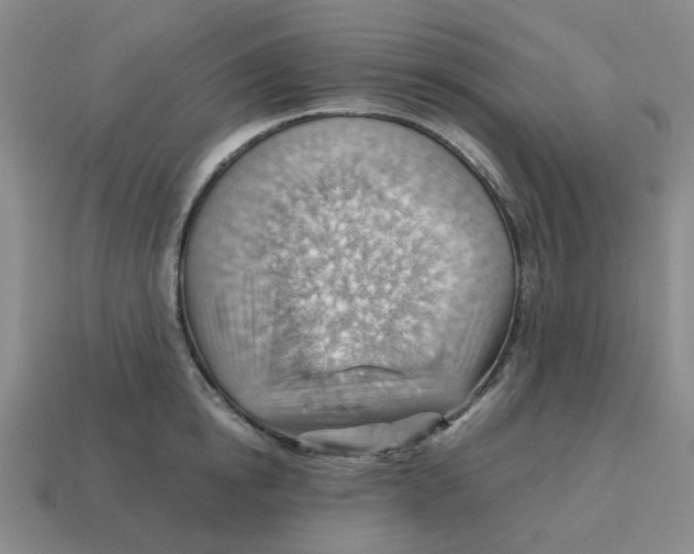 X0000114430854200911061641