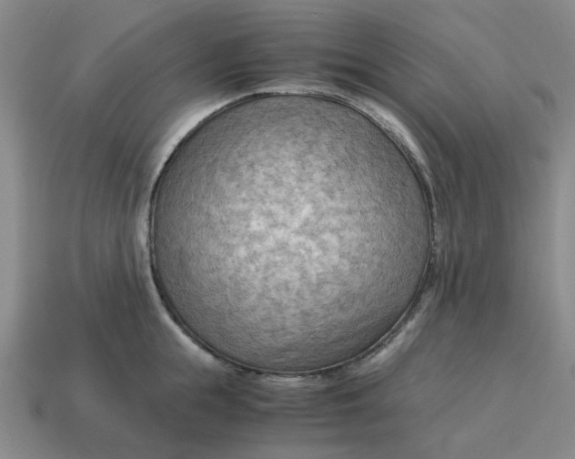 X0000114430855200911061642