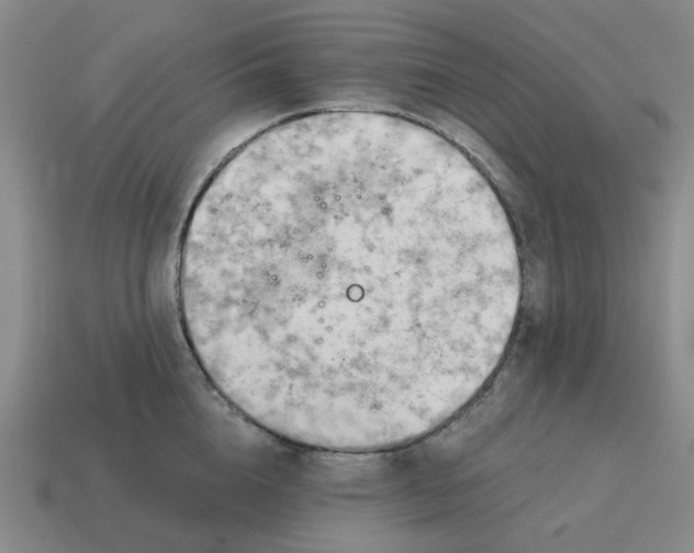 X0000114430856200911061642