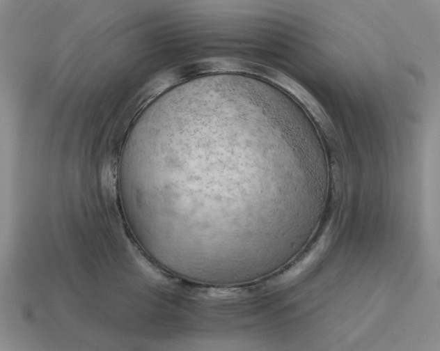 X0000114430857200911061642