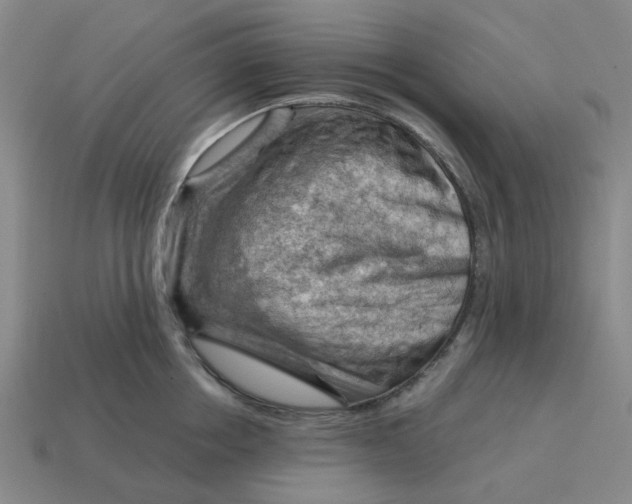X0000114430858200911061642