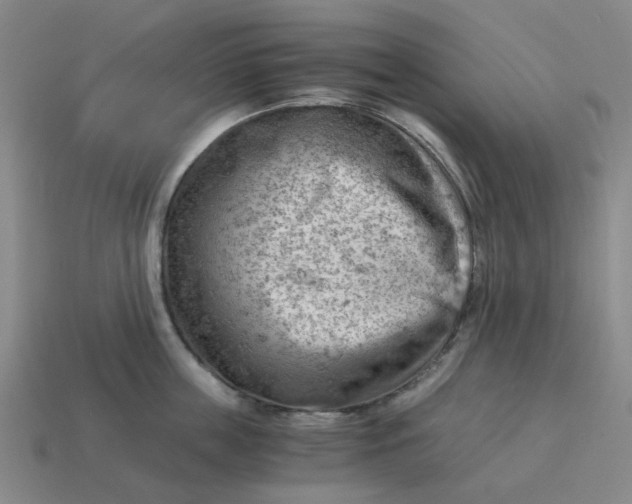 X0000114430859200911061642
