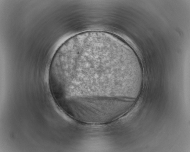 X0000114430862200911061642