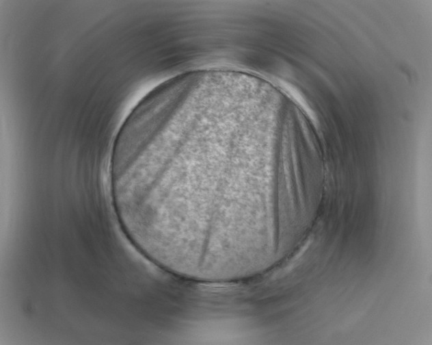 X0000114430863200911061642