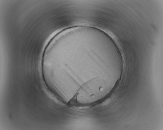 X0000114430864200911061642