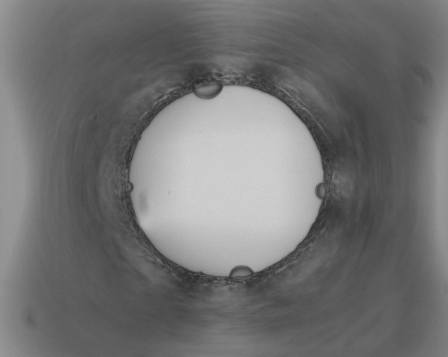X0000114430865200911061641