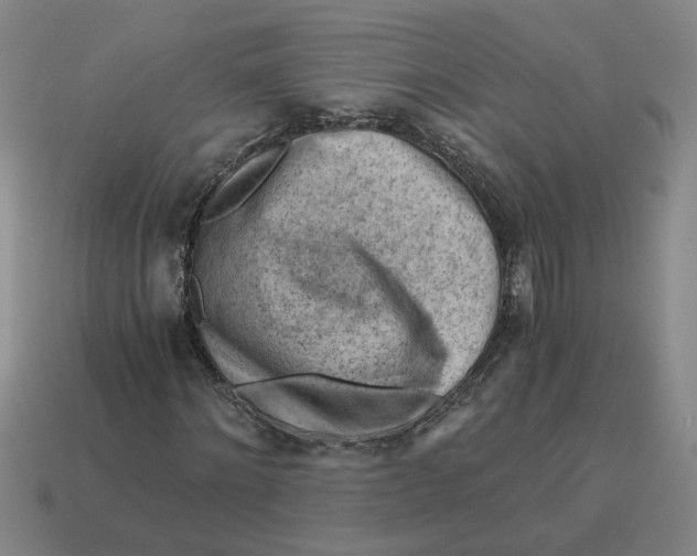 X0000114430868200911061641