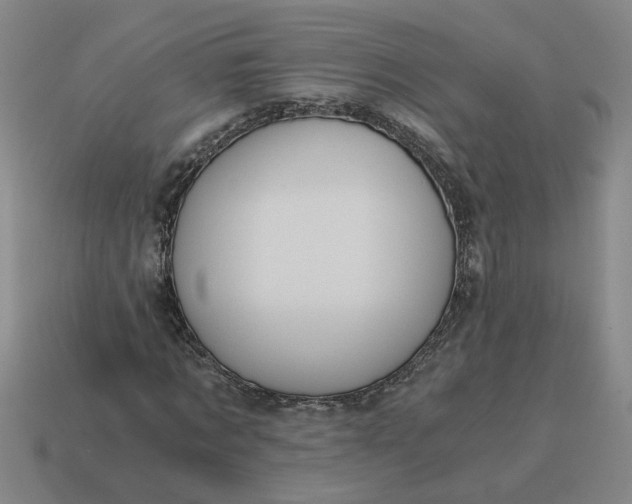 X0000114430869200911061641