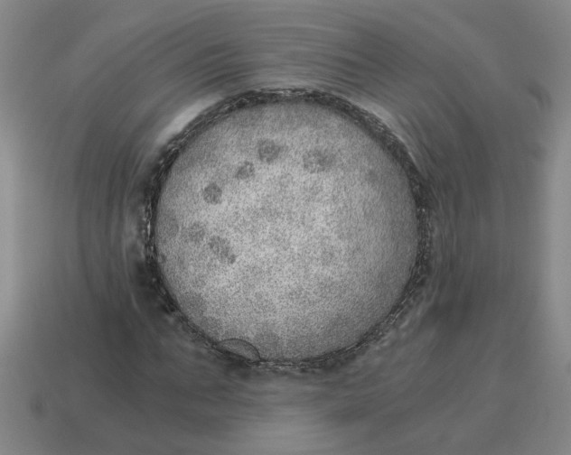 X0000114430871200911061641