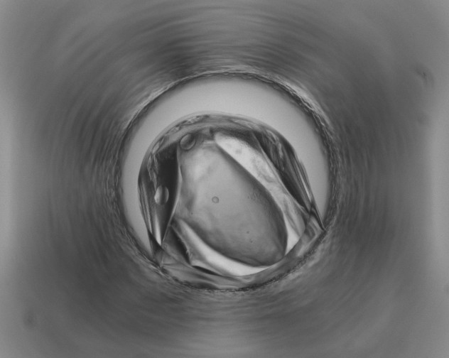 X0000114430873200911061641