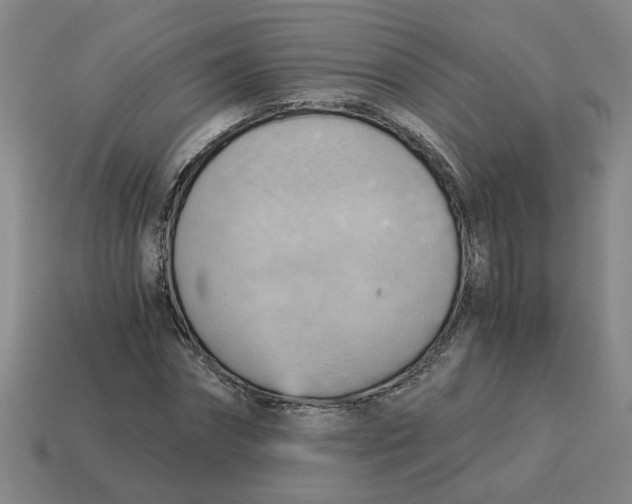 X0000114430874200911061641