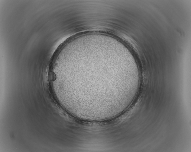 X0000114430875200911061641
