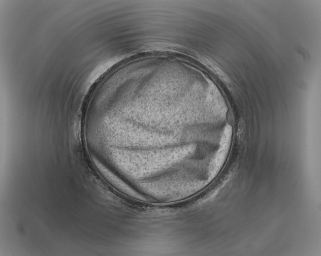 X0000114430877200911061641