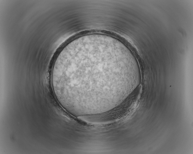 X0000114430879200911061641