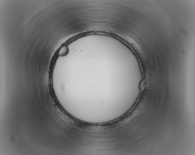 X0000114430880200911061641