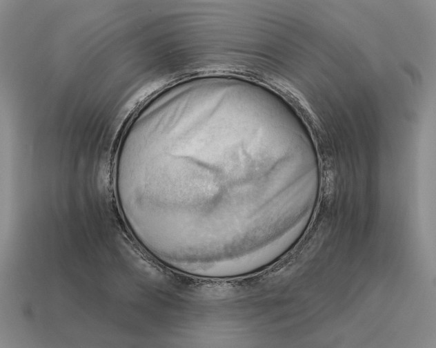 X0000114430882200911061641