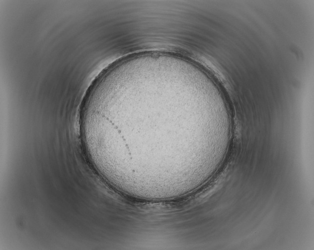X0000114430883200911061641