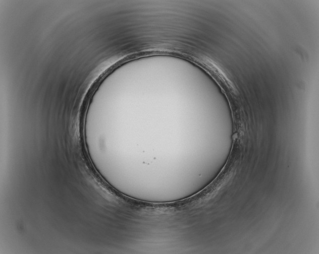 X0000114430884200911061641