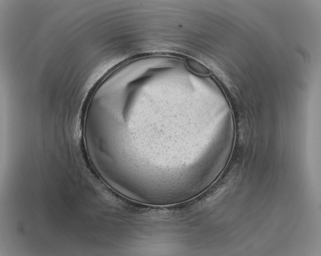 X0000114430885200911061641