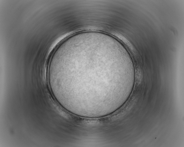 X0000114430886200911061641