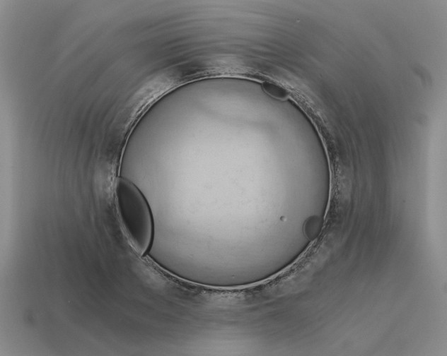 X0000114430889200911061641