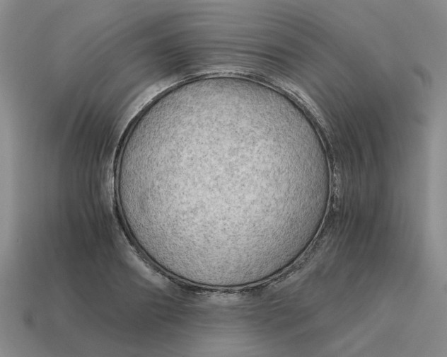 X0000114430890200911061641